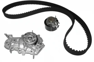 1.2, 1.2 TCe RENAULT WIND Kit distribuzione + pompa acqua DOLZ