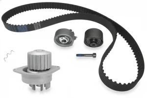 1.6 16V CITROËN XSARA I Kit de distribución + bomba de agua DOLZ