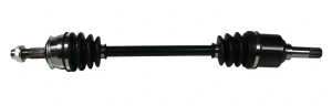 217045 GSP Demi-arbre