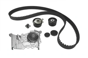 1.6 16V RENAULT MEGANE II Kit distribuzione + pompa acqua DOLZ