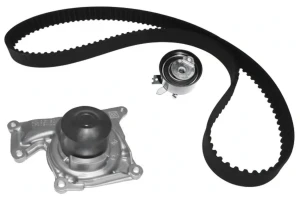 1.5 dCi RENAULT LATITUDE Kit distribuzione + pompa acqua DOLZ