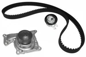 1.5 dCi DACIA LODGY I Kit distribuzione + pompa acqua DOLZ