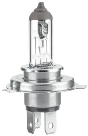 8GJ 235 698-101 HELLA Glühbirne