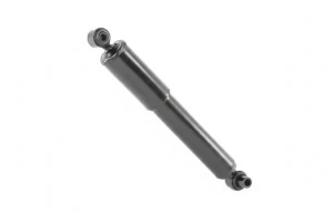 V2079 MONROE Ammortizzatore