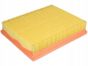 A1036 PURFLUX Filtro aria