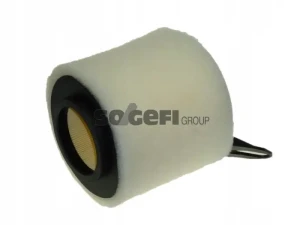 116 i BMW 1 E81 Filtro aria PURFLUX