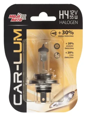 CORSA B 1.2 i, 1.4 Si, 1.6 i, 1.6 GSI, 1.4 i, 1.5 TD, 1.0 i, 1.7 D, 1.5 D OPEL Ampoule, projecteur principal 91-003 MOJE AUTO