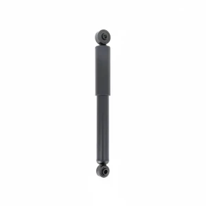 SA96811.01 SNR Amortisseur