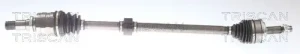 8540 13584 TRISCAN Demi-arbre