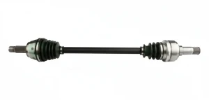 DS52596 LPR Demi-arbre