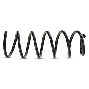 ASZ-MS-022 NTY Ressort de suspension