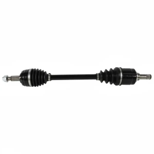 250498OL GSP Demi-arbre