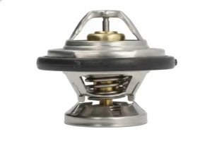 D2M005TT THERMOTEC Thermostat
