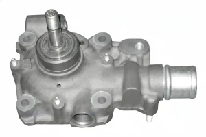 B120 DOLZ Pompa acqua