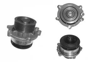 D204 DOLZ Pompa acqua