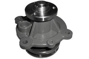 D301 DOLZ Wasserpumpe