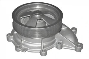E117 DOLZ Pompe à eau