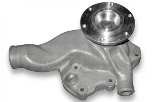 M302 DOLZ Pompe à eau