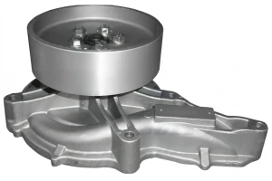 R612 DOLZ Pompa acqua