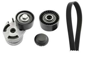 1.6 HDI Kit de correa trapezoidal acanalada CITROËN BERLINGO I INA