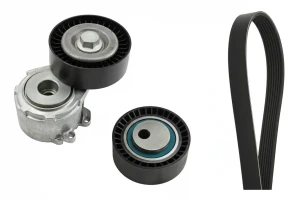 529 0017 10 INA Kit de correa trapezoidal acanalada