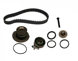 530 0004 30 INA Kit distribuzione + pompa acqua