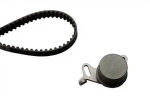 2.0 Cat, 2.7, 2.0 BERTONE FREECLIMBER Kit de correa de distribución INA