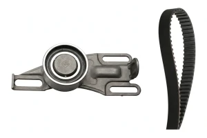 1.6, 1.9, 1.9 GTI PEUGEOT 309 II Kit de correa de distribución INA