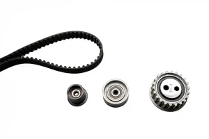 1.6 BERTONE FREECLIMBER 2 Zahnriemen – set INA