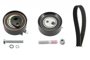 2.5 TDI VW TRANSPORTER T4 Kit de correa de distribución INA