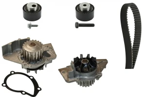 2.0 HDI PEUGEOT 306 Kit de distribución + bomba de agua INA