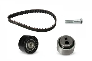 15 D CITROËN AX Kit cinghia distribuzione INA