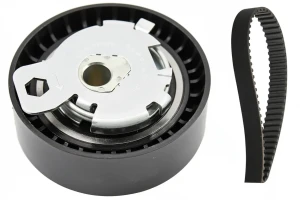 1.8 TDCi FORD FOCUS C-MAX I Kit cinghia distribuzione INA