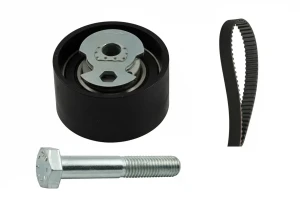 2.5 TD, 2.5 DI FORD TRANSIT IV Zahnriemen – set INA