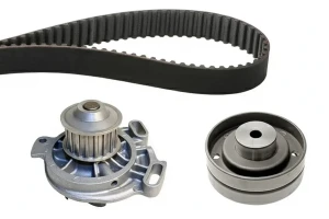 530 0153 30 INA Kit de distribution + pompe à eau