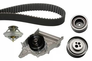 2.6, 2.8 AUDI A6 C4 Kit distribuzione + pompa acqua INA