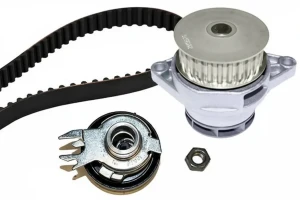 1.6 i SEAT INCA Kit de distribución + bomba de agua INA