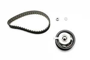 1.9 D VW CADDY II Kit cinghia distribuzione INA