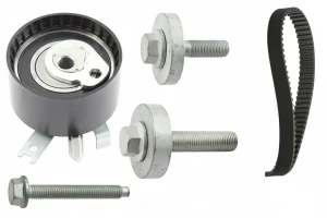530 0197 10 INA Kit de correa de distribución