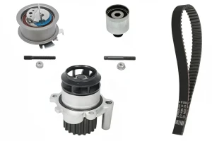 1.9 TDI SEAT IBIZA III Kit distribuzione + pompa acqua INA