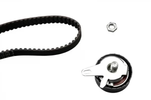 2.5 TDI AUDI A4 B5 Kit de correa de distribución INA