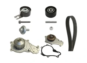 1.4 HDi PEUGEOT 207 Kit de distribución + bomba de agua INA