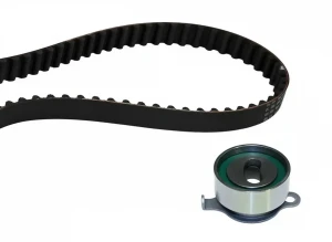 530 0310 10 INA Kit de correa de distribución