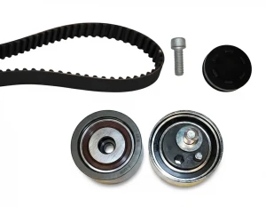 2.5 TDI AUDI A8 D2 Kit cinghia distribuzione INA