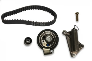 530 0367 10 INA Kit cinghia distribuzione
