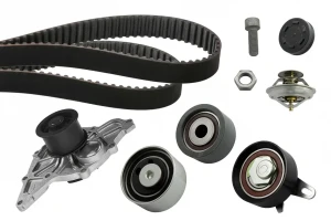2.5 TDI AUDI A4 B6 Kit distribuzione + pompa acqua INA