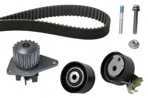 1.4 16V PEUGEOT 307 Kit de distribución + bomba de agua INA