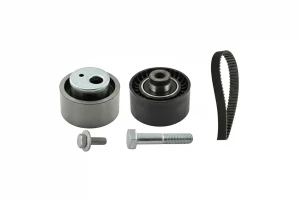 1.9 D CITROËN C15 Kit cinghia distribuzione INA