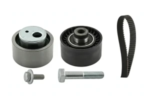 2.0 HDi CITROËN XSARA I Kit cinghia distribuzione INA
