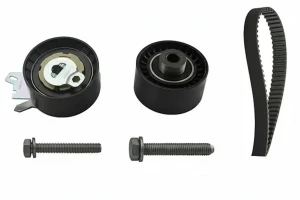 2.0 16V PEUGEOT EXPERT TEPEE II Kit cinghia distribuzione INA